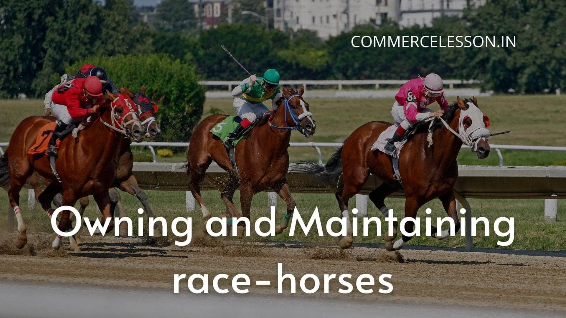 Provisions relating to carry forward and set off of losses from owning and maintaining of race-horses