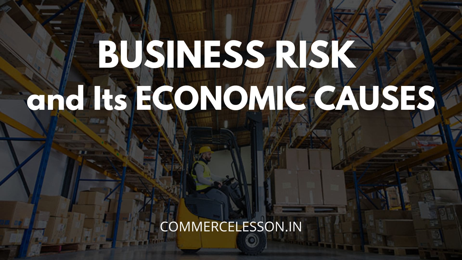 Business Risk and Its Economic Causes