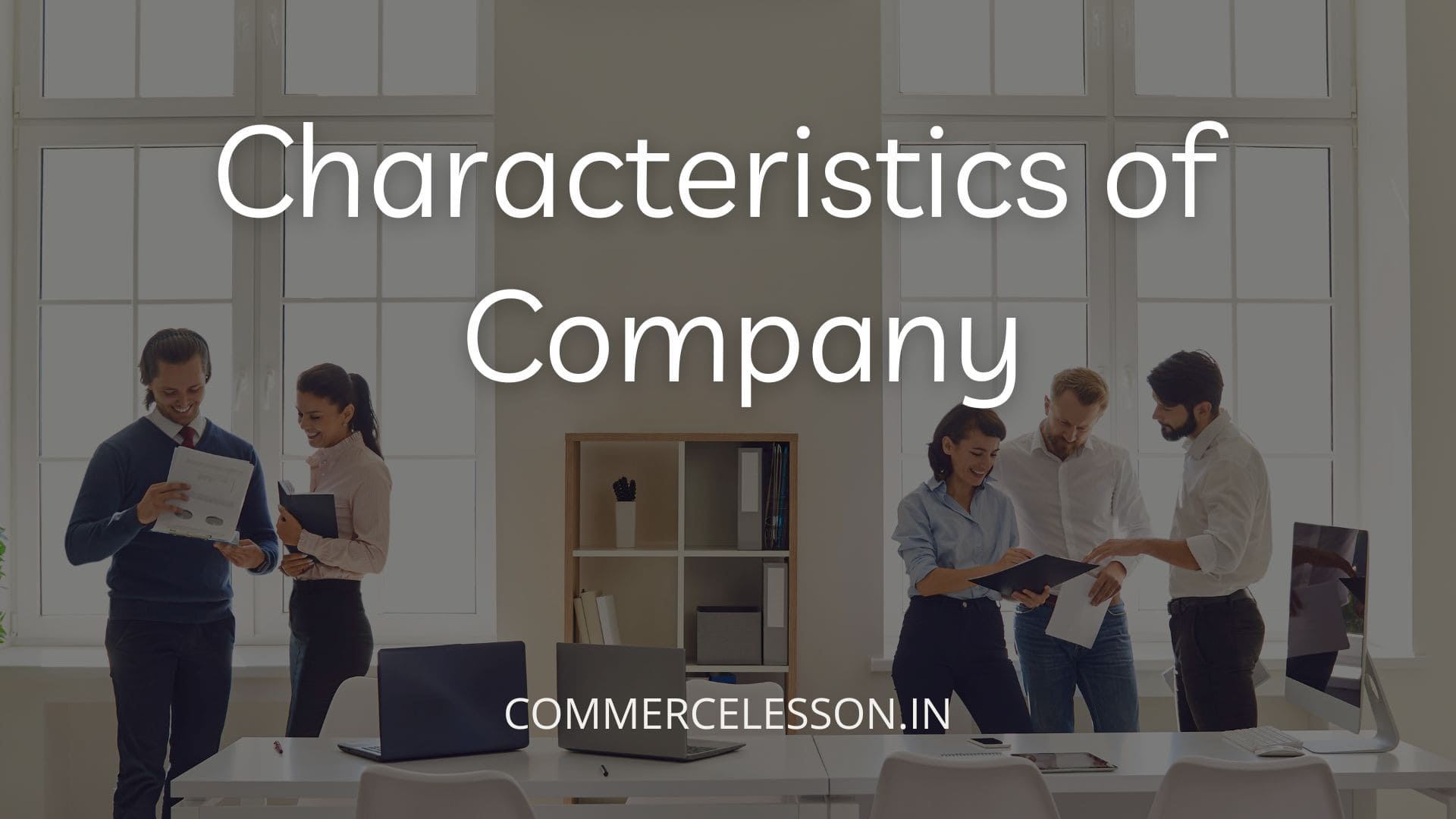 Characteristics of company