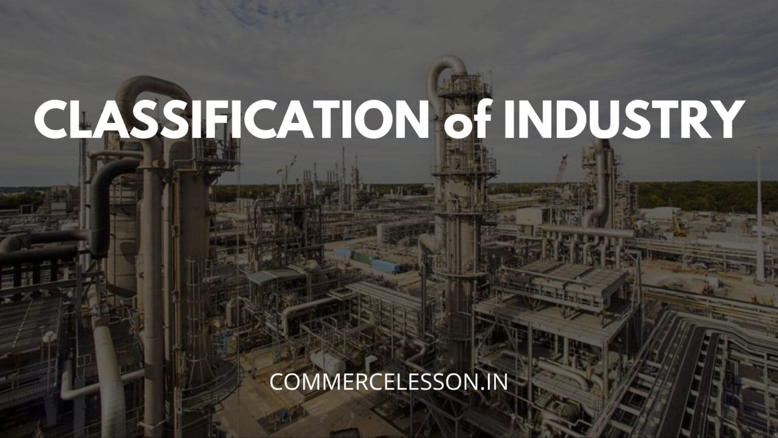 classification-of-industry-commercelesson-in