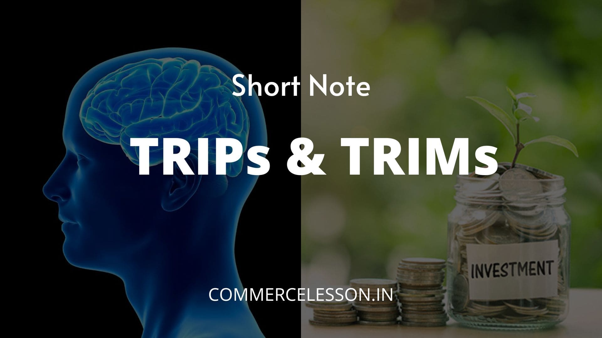 TRIPs and TRIMs Short Note
